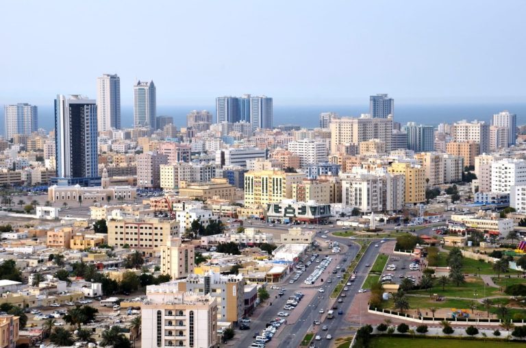 Economic licences in Ajman rise 15% since beginning of 2024