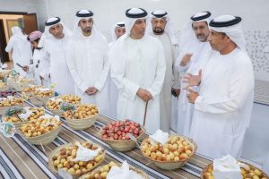 Al Dhaid Date Festival 2024 concludes, crowns 130 winners from palm farmers and owners