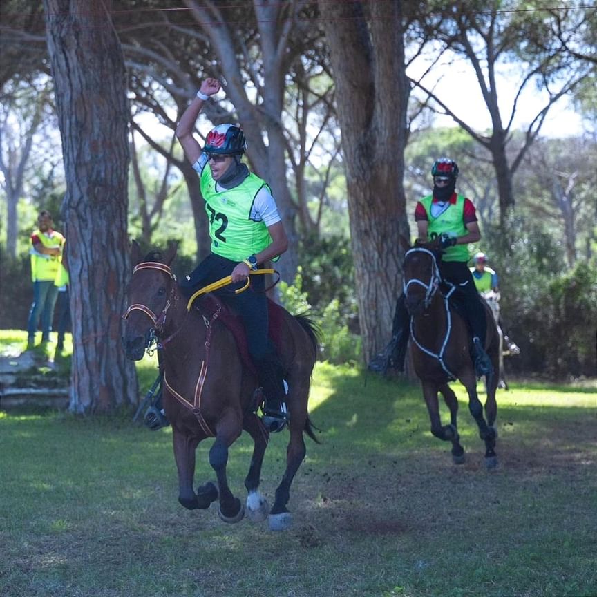 UAE win FEI Endurance World Championship for Young Horses in Italy