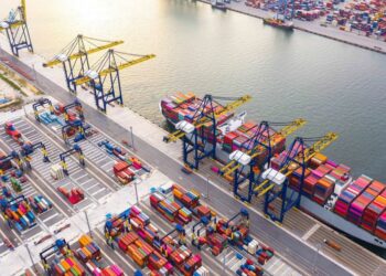 UAE strengthens position as global supply chain hub, bolsters food security