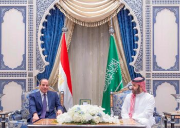 Saudi Crown Prince, Egyptian President discuss regional developments