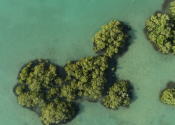 The Red Sea Becomes the First-Ever Destination in Saudi Arabia to Achieve EarthCheck Sustainable Destinations Certification