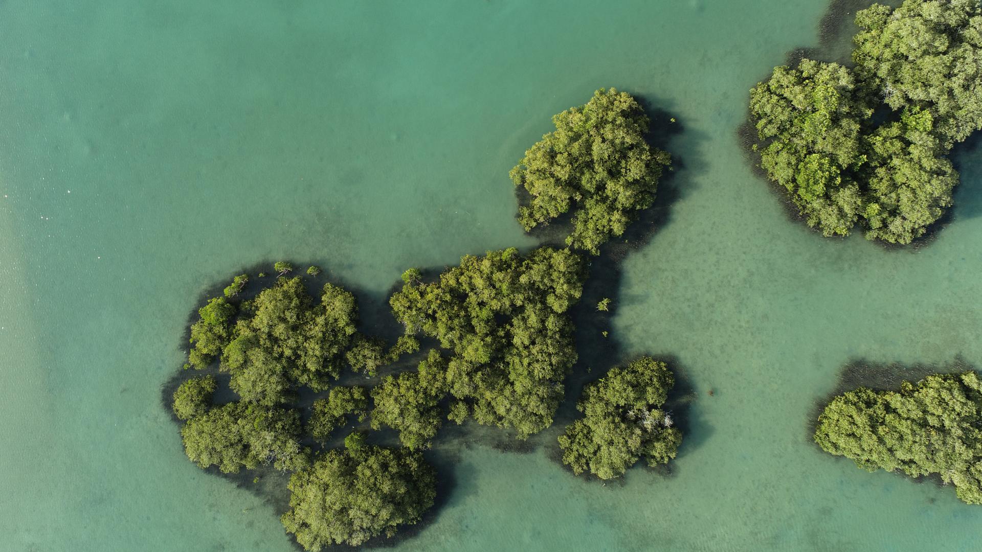 The Red Sea Becomes the First-Ever Destination in Saudi Arabia to Achieve EarthCheck Sustainable Destinations Certification