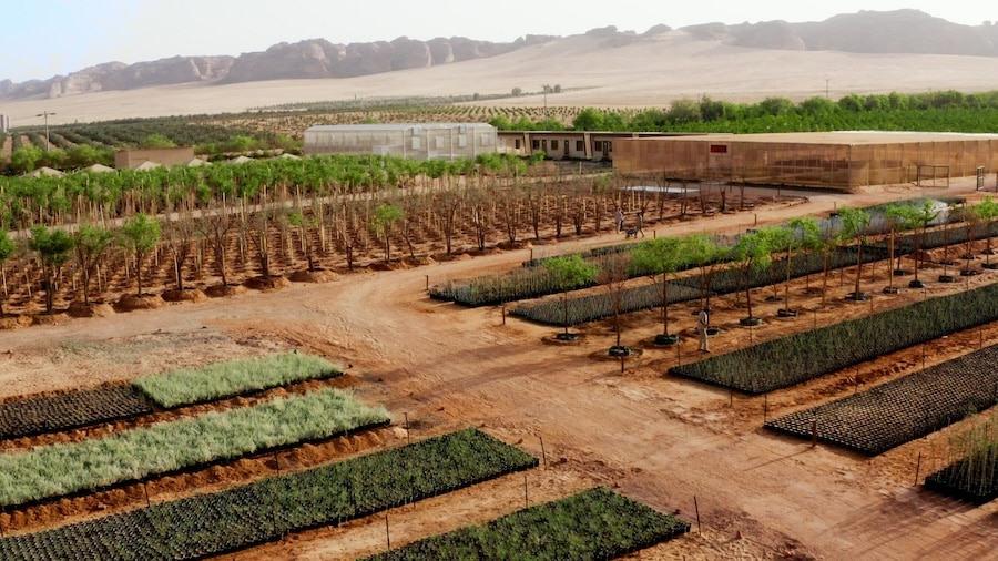 Sowing AlUla’s Green Future: 1 Million Native Plants Initiative to Transform AlUla’s Ecological Restoration and Sustainable Tourism Landscape