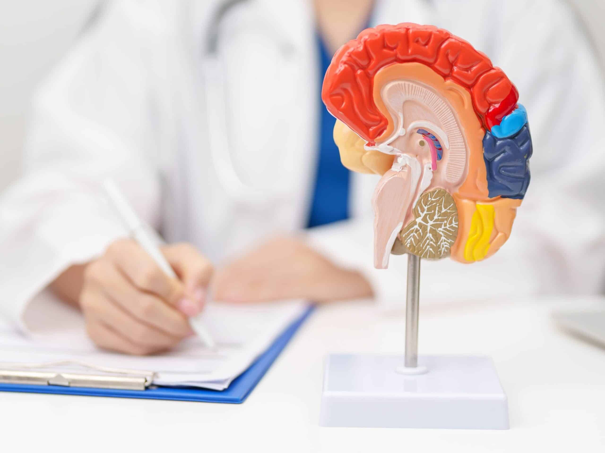 New Anti-Clotting Drug Reduces Stroke Risk Without Increasing Bleeding Complications