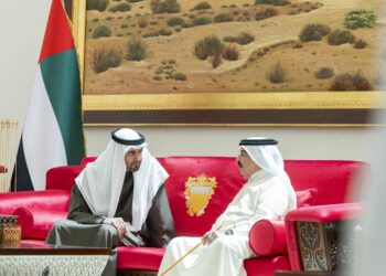 UAE President And King Of Bahrain Discuss Fraternal Relations And Regional Developments