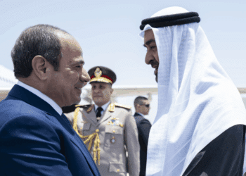 UAE and Egyptian Presidents Discuss Bilateral Relations and Regional Developments