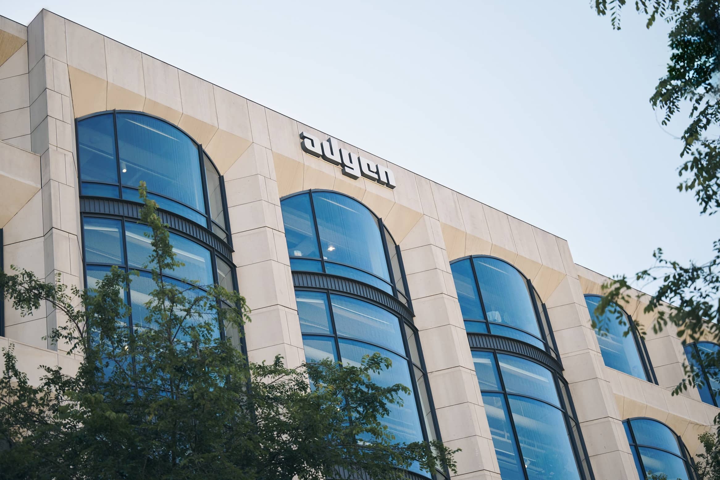 UAE Central Bank Licenses Adyen for Expanded Operational Capabilities