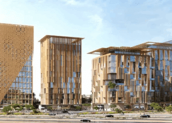 What Specific Design Guidelines Define the Salmani Architecture Movement?