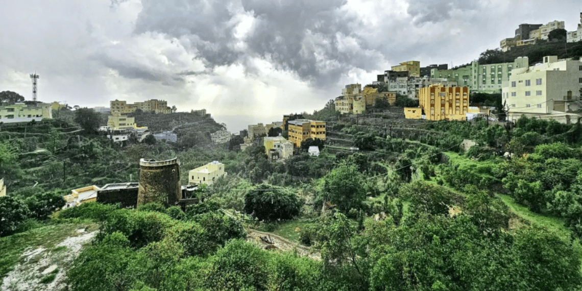 Jazan’s Mountains Mangroves and Valley Forests Strengthen Ecotourism