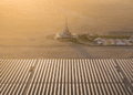 DEWA Ranks First Across 13 Key Performance Indicators